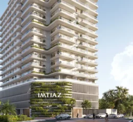 Cove Edition 3 by Imtiaz