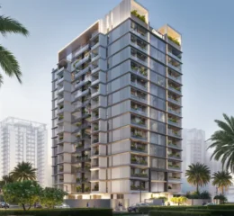 Verdan1a by Object One