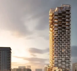 The Symphony by Imtiaz