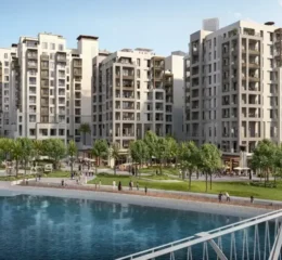 Cedar